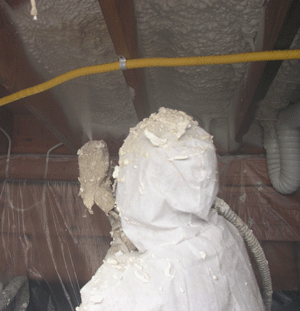  BC crawl space insulation